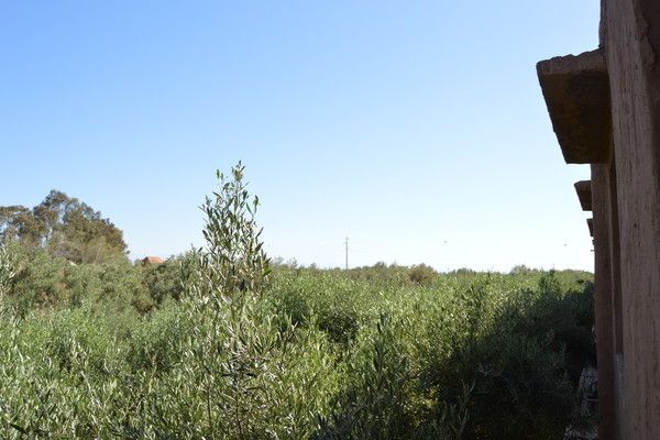 Oliveraie Jnane Zitoune 3* pas cher photo 4