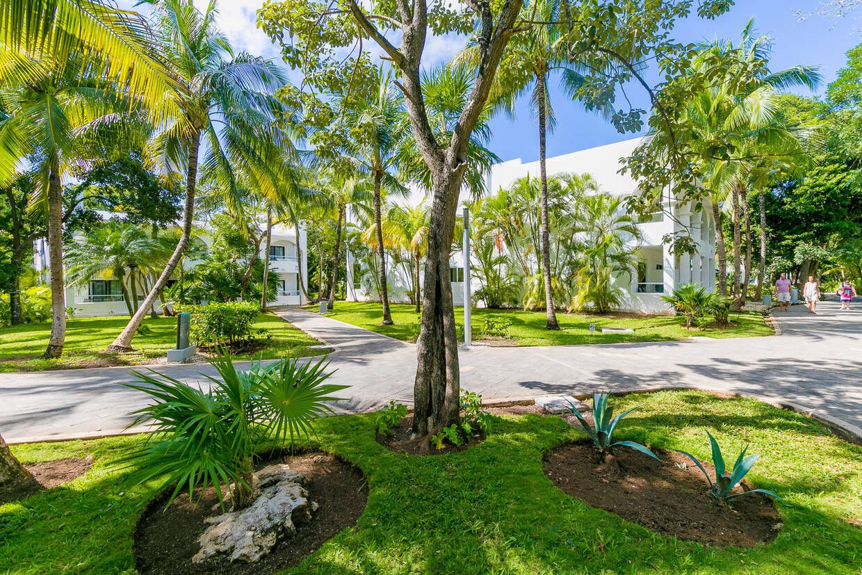 Hôtel Riu Tequila 5* pas cher photo 23