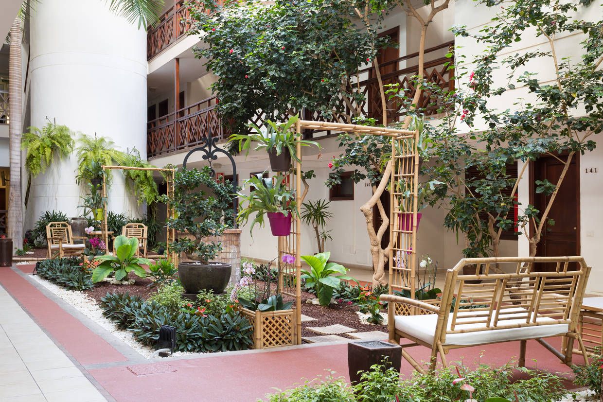 Club Jumbo Globales Tamaimo Tropical 3* pas cher photo 26