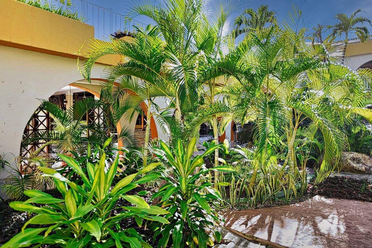Hôtel Adult Only- Starfish Las Palmas 3* pas cher photo 12
