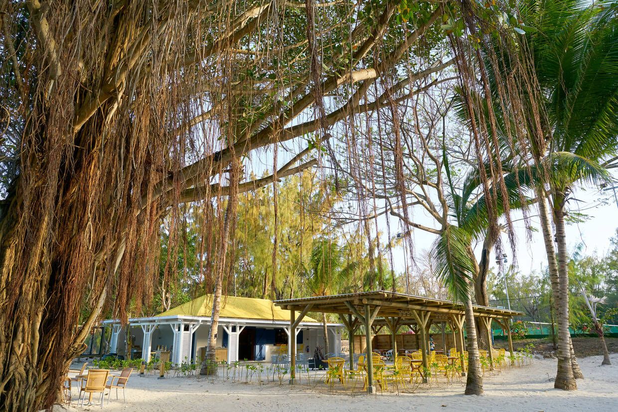 Hôtel Adult Only - Lagoon Attitude 4* pas cher photo 16