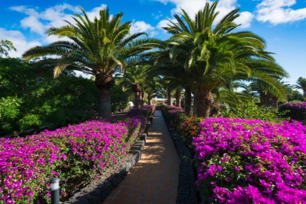 Club Mondi Club Relaxia Olivina Lanzarote 4* pas cher photo 19