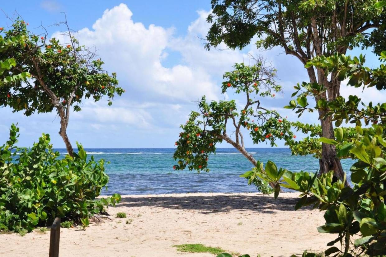 Hôtel Résidence Tropicale pas cher photo 3