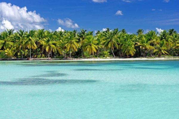 Club Oclub Experience Occidental Caribe 4* pas cher photo 11