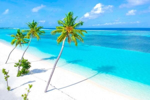 Club Oclub Experience Occidental Caribe 4* pas cher photo 12