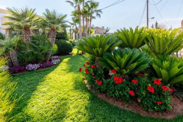 Hôtel Dédalos Hotel 3* pas cher photo 11