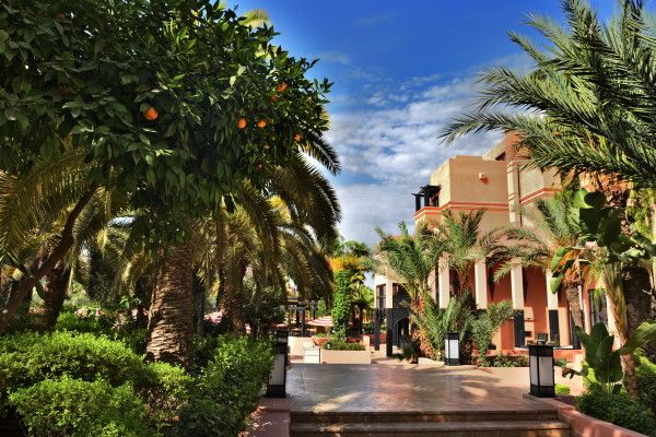 Hôtel Movenpick Mansour Eddahbi Marrakech 5* pas cher photo 25