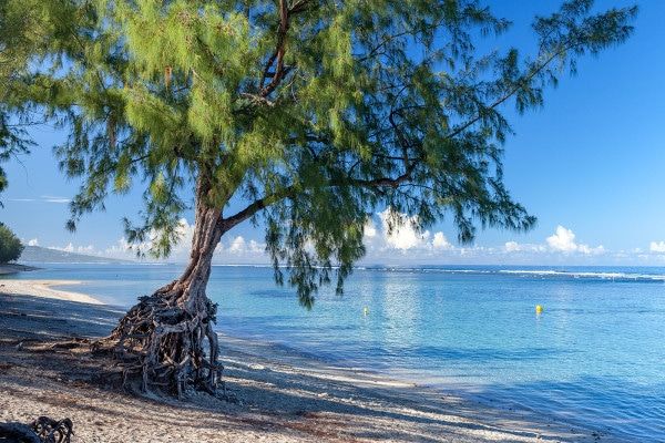 Hôtel Alamanda 2* pas cher photo 3