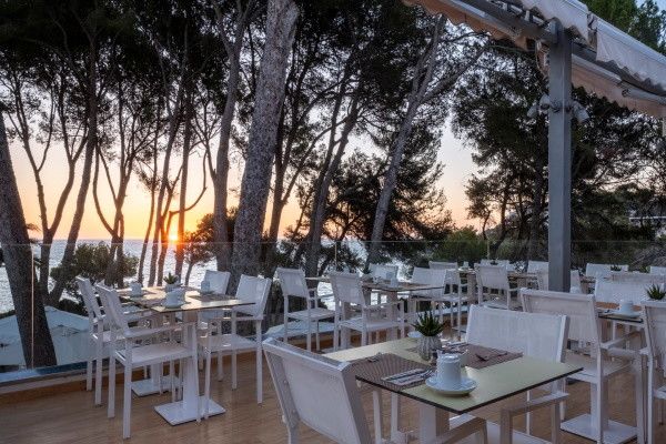 Hôtel Iberostar Pinos Park 4* pas cher photo 9