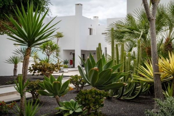 Hôtel Lanzarote Village 4* pas cher photo 28