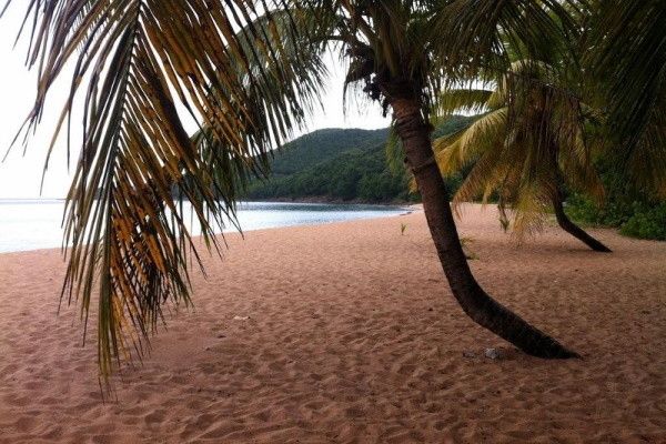 Hôtel Résidence Habitation Grande Anse 3* - Avec location de voiture pas cher photo 7