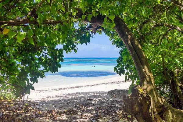 Hôtel Les Kaz Créoles - Avec location de voiture pas cher photo 9