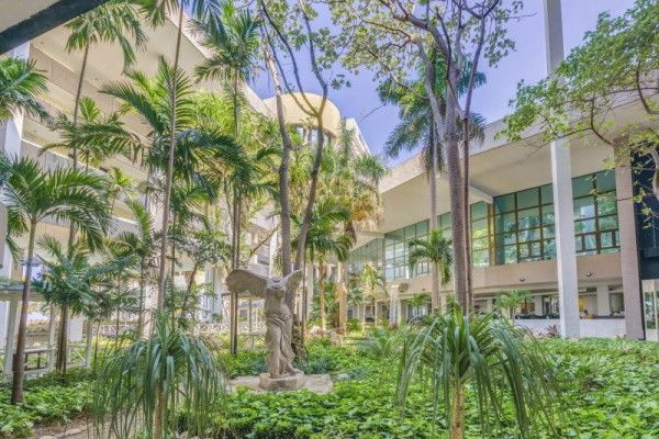 Hôtel Kappa City Melia Habana 5* pas cher photo 9