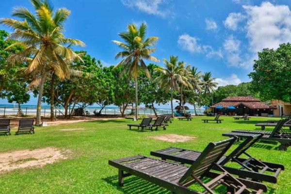 Hôtel The Palms 4* pas cher photo 3