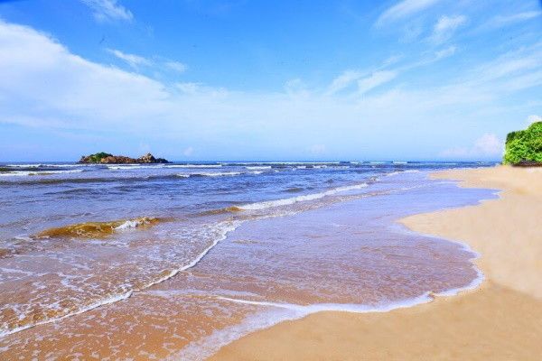 Hôtel The Palms 4* pas cher photo 7