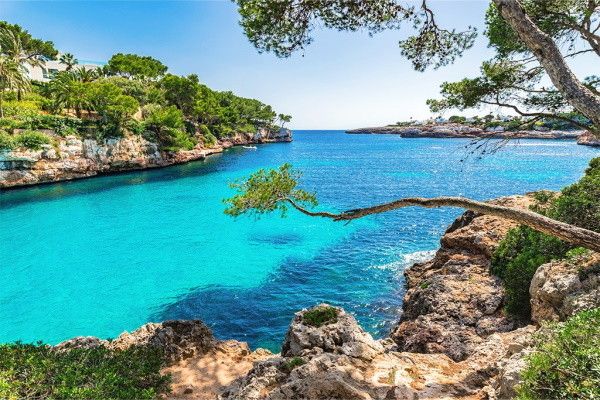 Hôtel Sentido Fido Tucan - Beach Adult Only 4* pas cher photo 7