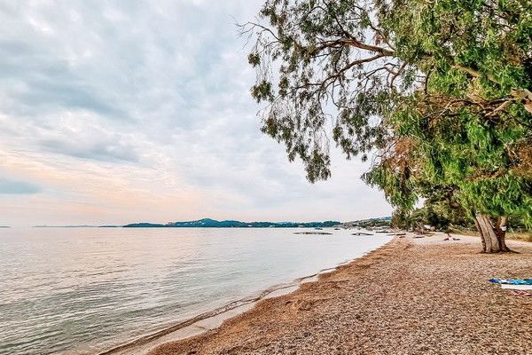 Hôtel TRYP by Wyndham Corfu Dassia 4* pas cher photo 20