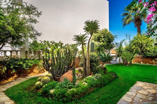 Hôtel Malia Mare 3* pas cher photo 15