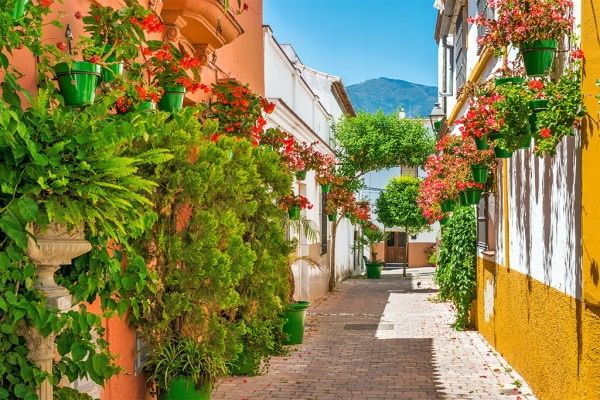 Hôtel Senator Banus Spa Hôtel (Adult only +16) 5* pas cher photo 21