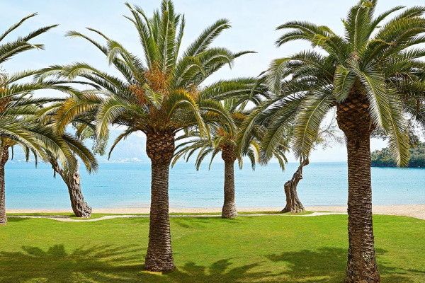 Hôtel Grecotel Luxume Daphnila Bay Dassia 4* pas cher photo 6