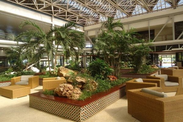 Hôtel Gran Caribe Puntarena Playa Caleta 4* pas cher photo 8