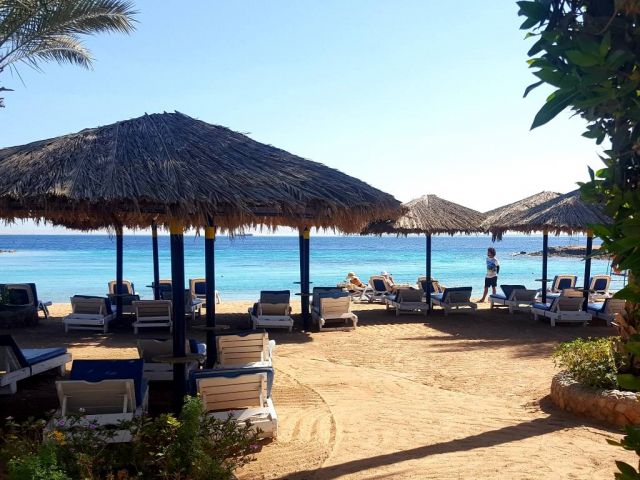 Hôtel Zya Regina Resort & Aqua Park 4* pas cher photo 15