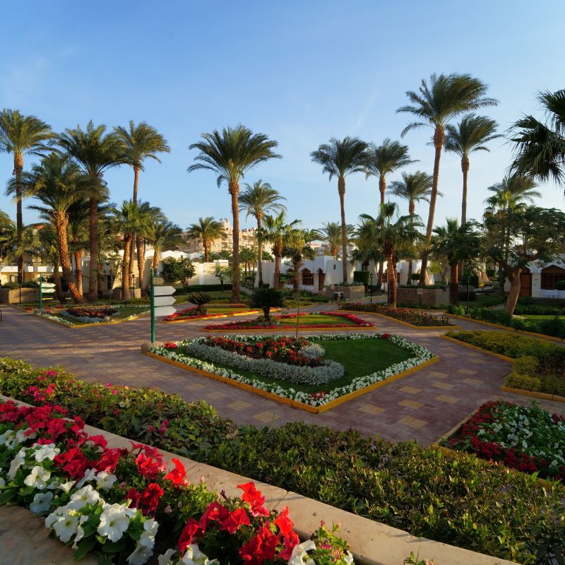 Hôtel Zya Regina Resort & Aqua Park 4* pas cher photo 9