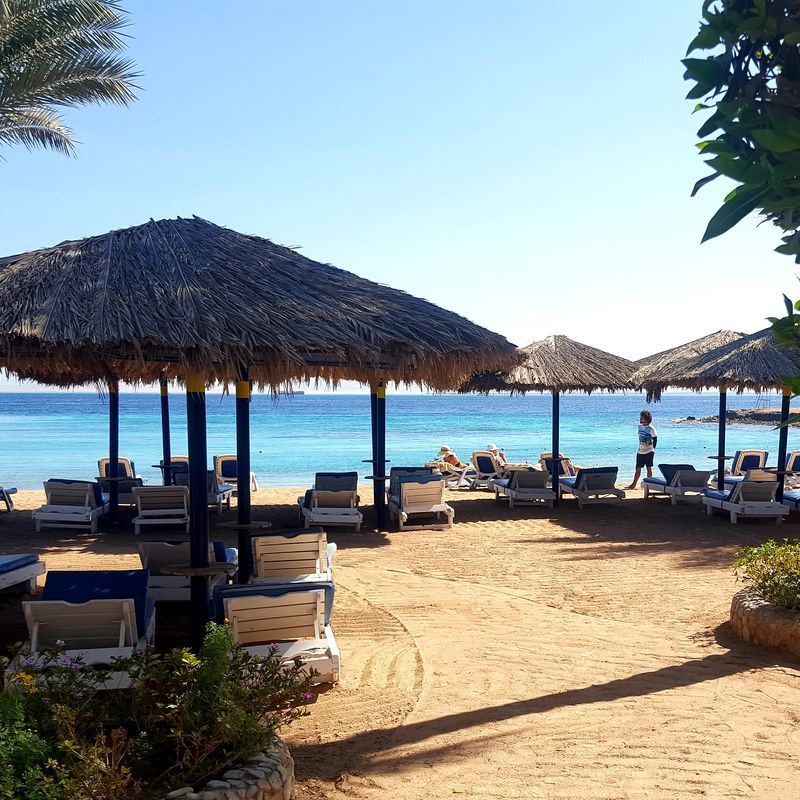 Hôtel Zya Regina Resort & Aqua Park 4* pas cher photo 12