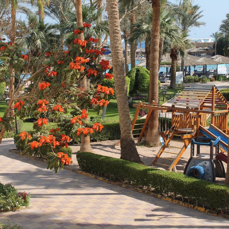 Hôtel Zya Regina Resort & Aqua Park 4* pas cher photo 29