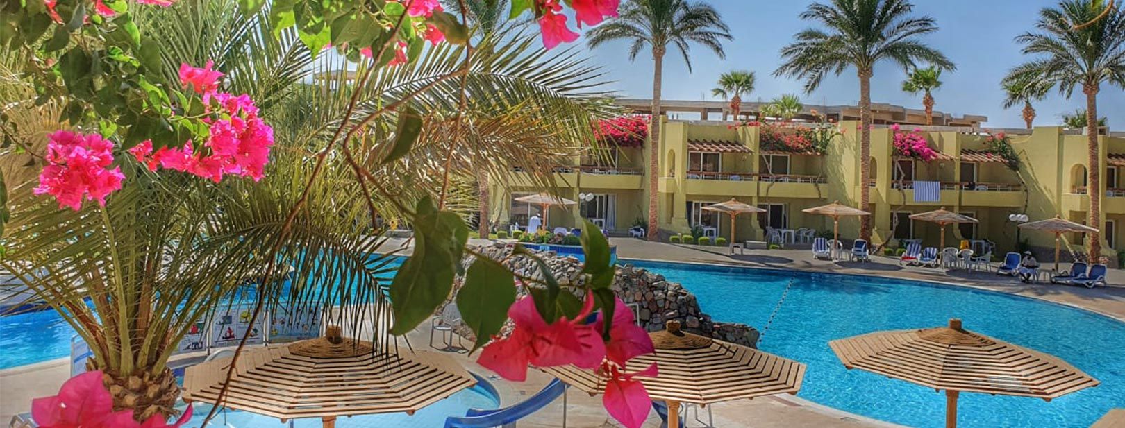 Hôtel Palm Beach Resort 4* pas cher photo 3