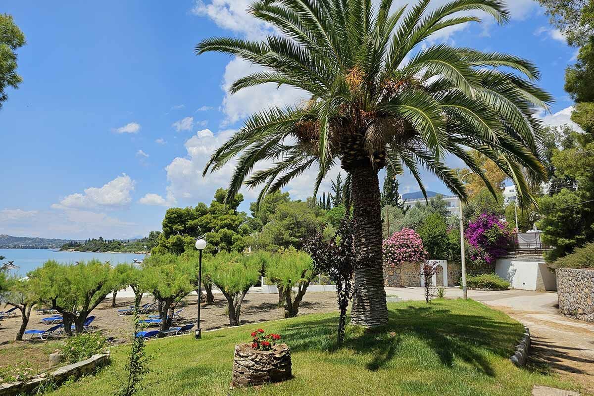 Club Héliades Radisson Paradise Beach Resort Eretria 5* pas cher photo 2