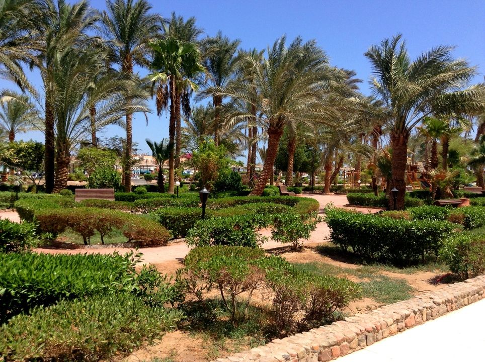 Hôtel Giftun Azur Resort 4* pas cher photo 9