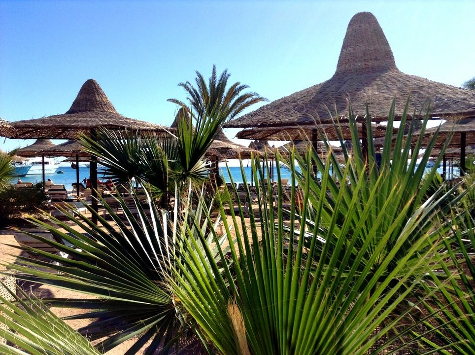 Hôtel Giftun Azur Resort 4* pas cher photo 11