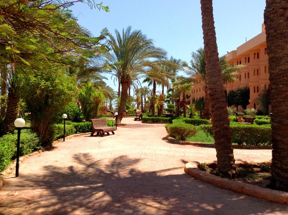 Hôtel Giftun Azur Resort 4* pas cher photo 12