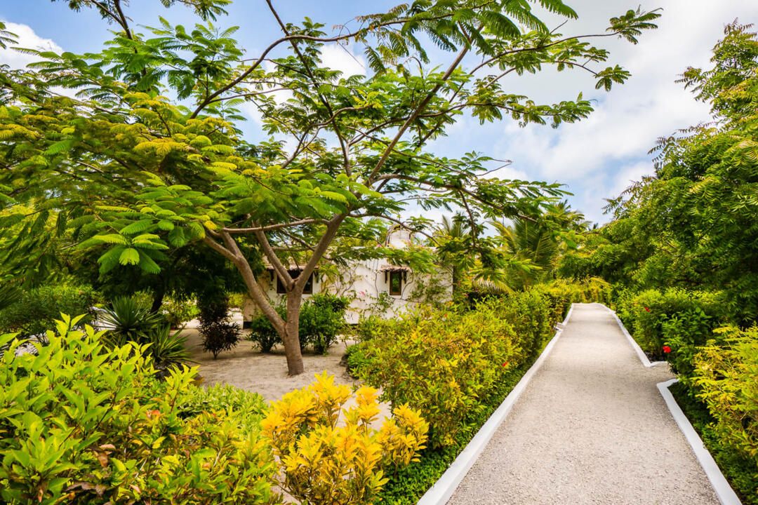 Hôtel White Paradise Sea Resort 4* pas cher photo 1