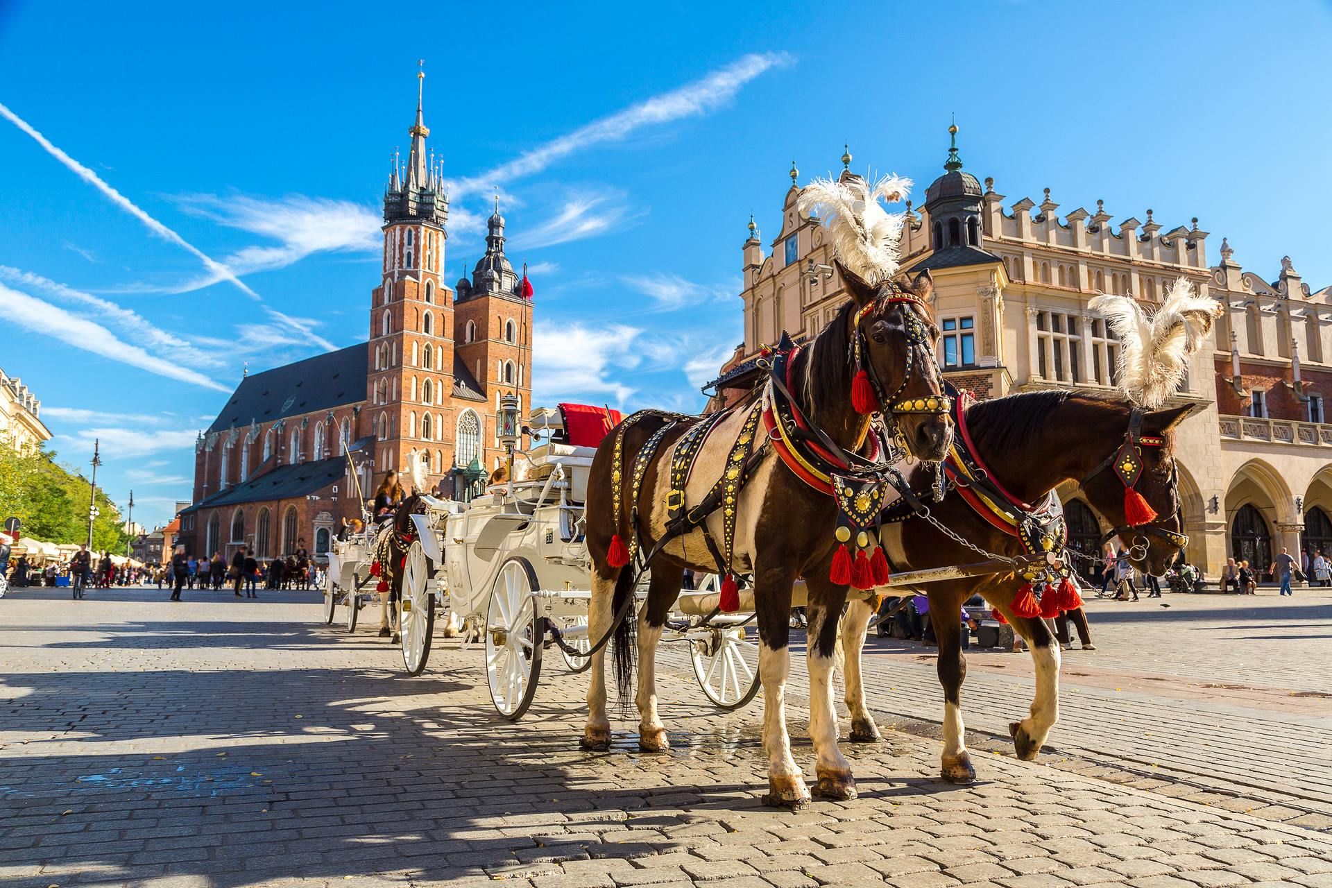 De Varsovie à Cracovie en privatif - 6J/5N pas cher photo 6