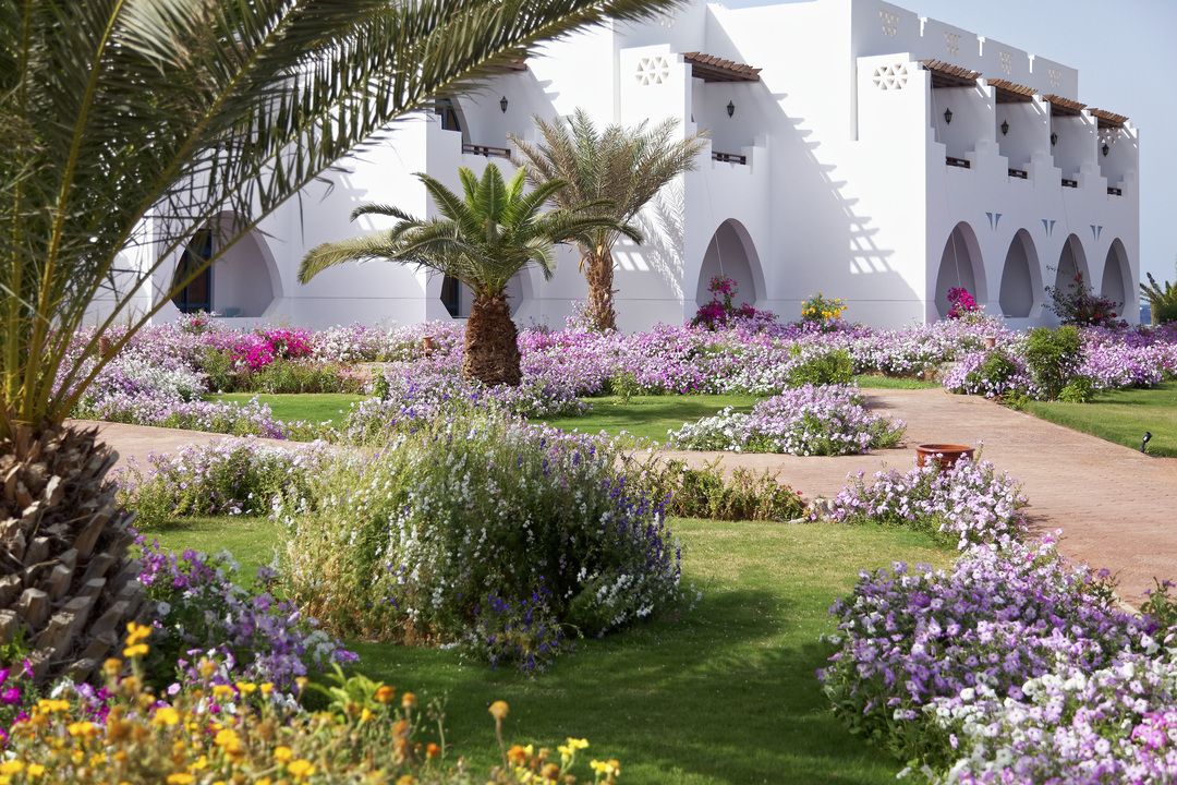 Hôtel Three Corners Equinox Beach Resort 4* pas cher photo 3