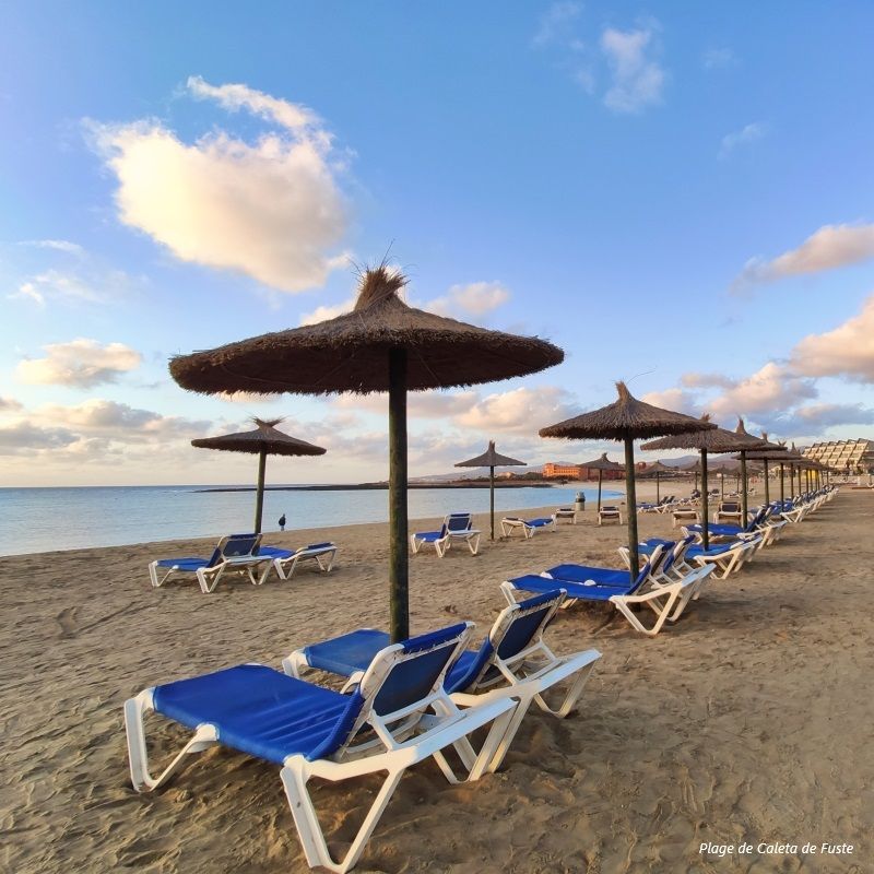 Hôtel Mondi Club Broncemar Beach Suites 4* pas cher photo 12