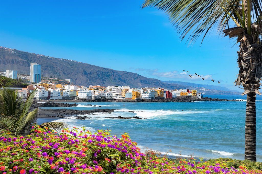 Coral Villas La Quinta 3* pas cher photo 1