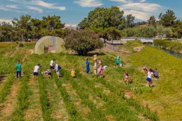 Club Jumbo Labranda Lebedos Princess 4* pas cher photo 29