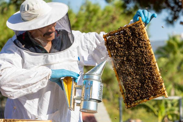 Club Jumbo Labranda Lebedos Princess 4* pas cher photo 30