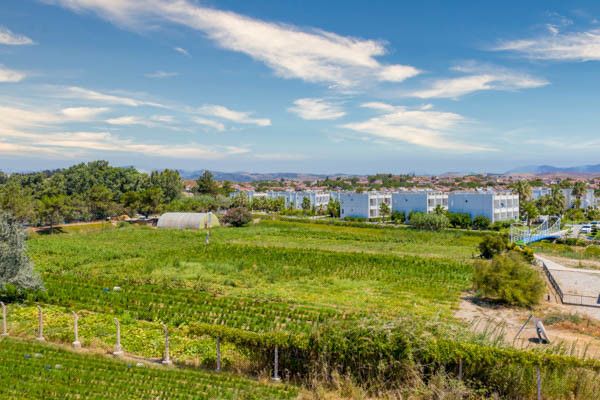 Club Jumbo Labranda Lebedos Princess 4* pas cher photo 31