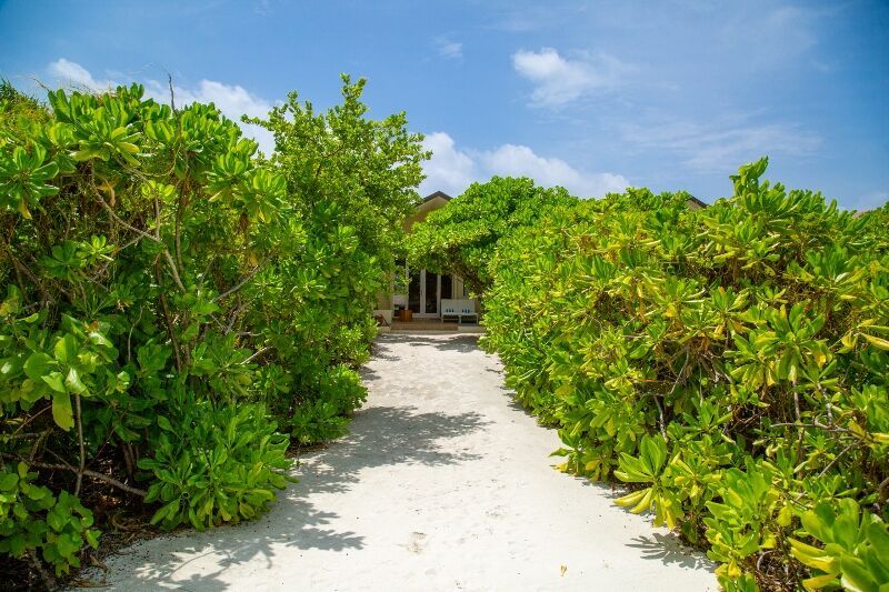 Hôtel Hondaafushi Island Resort 4* pas cher photo 9