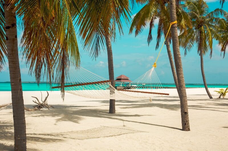 Hôtel Hondaafushi Island Resort 4* pas cher photo 15