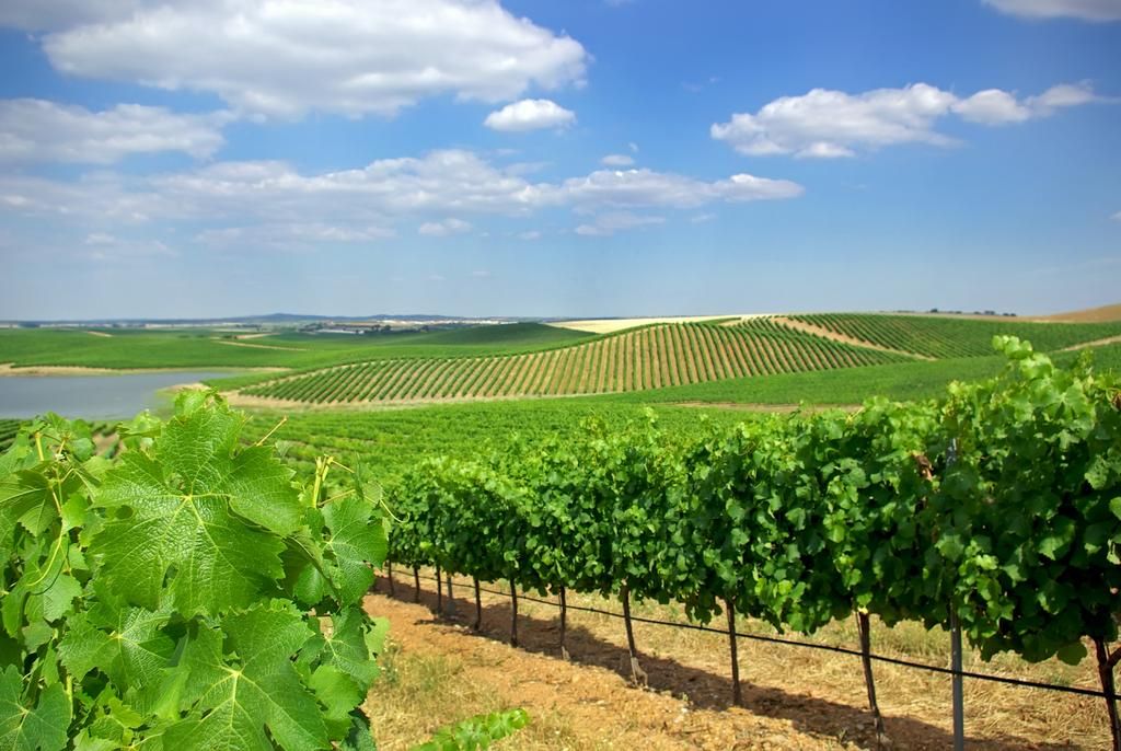 Hôtel Agrotourisme Vila Gale Collection Monte Do Vilar 4* pas cher photo 14