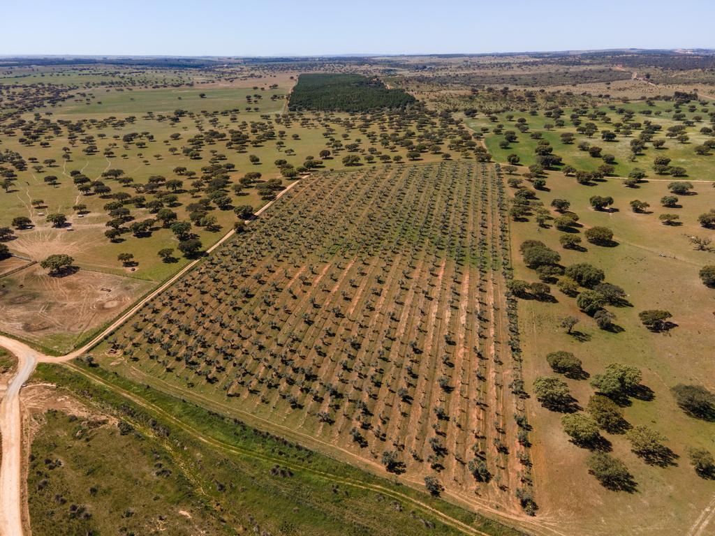 Hôtel Agrotourisme Vila Gale Collection Monte Do Vilar 4* pas cher photo 15