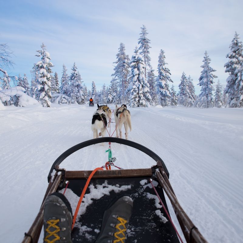 Séjour MultiActivités Aventures en Laponie Hôtel Grand Arctic Resort 4* pas cher photo 6