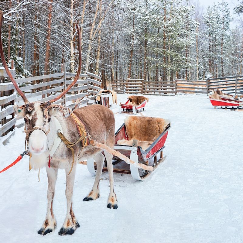 Séjour MultiActivités Aventures en Laponie Hôtel Grand Arctic Resort 4* pas cher photo 8