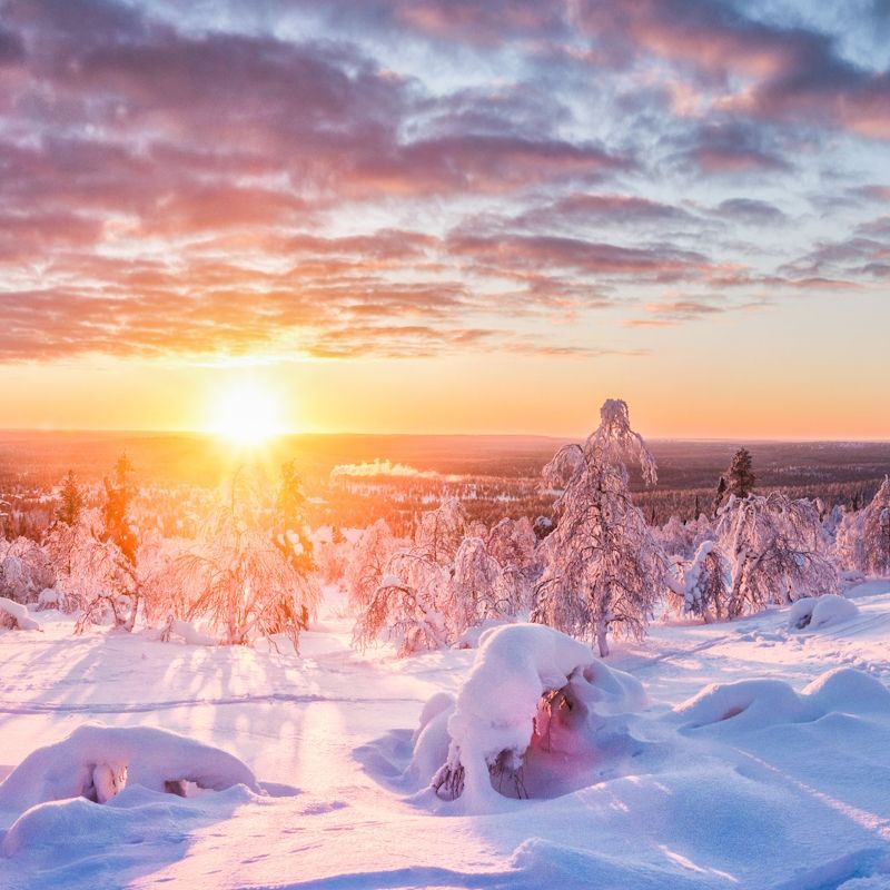 Séjour MultiActivités Aventures en Laponie Hôtel Grand Arctic Resort 4* pas cher photo 11