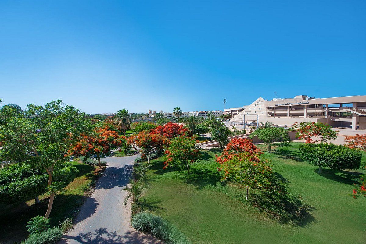 Hôtel Pharaoh Azur Grand Resort 4* pas cher photo 34